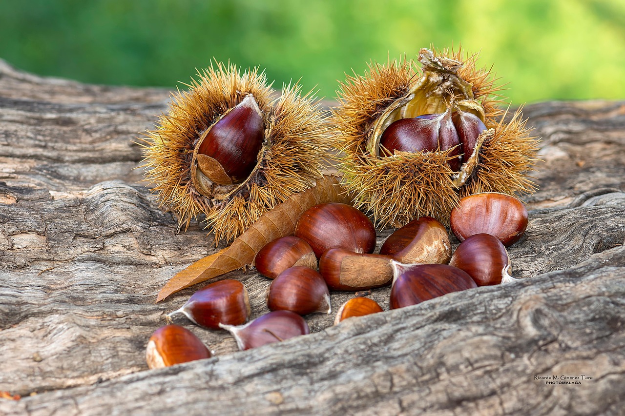 Non gettare le bucce di castagne: 7 idee geniali per riutilizzarle, la quinta ti stupirà