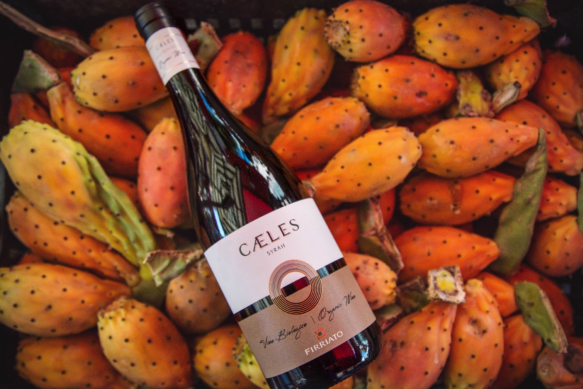 Vini d’Ungheria: queste 3 etichette storiche sono il biglietto d’accesso al mondo Tokaji