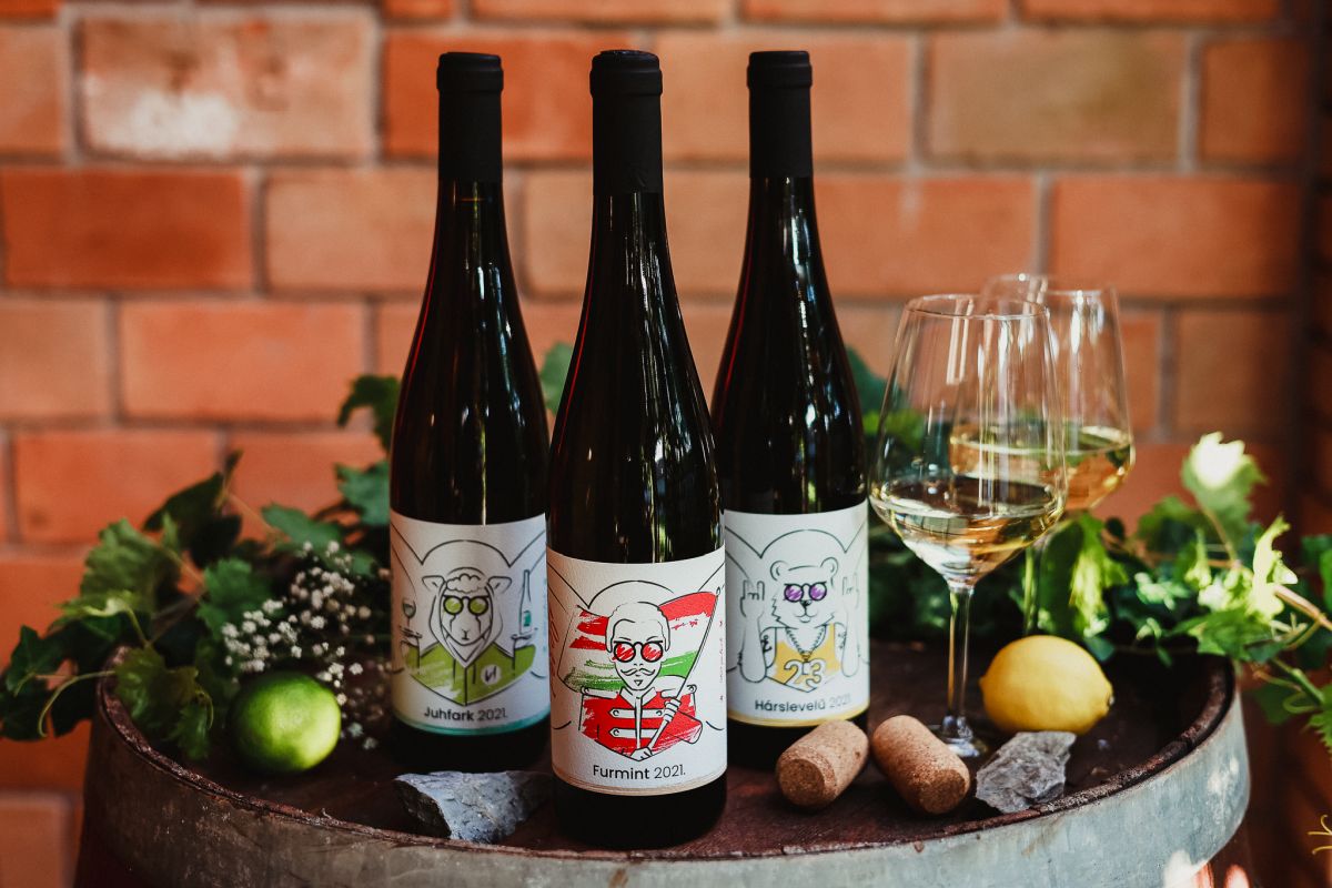 Vini d’Ungheria: queste 3 etichette storiche sono il biglietto d’accesso al mondo Tokaji